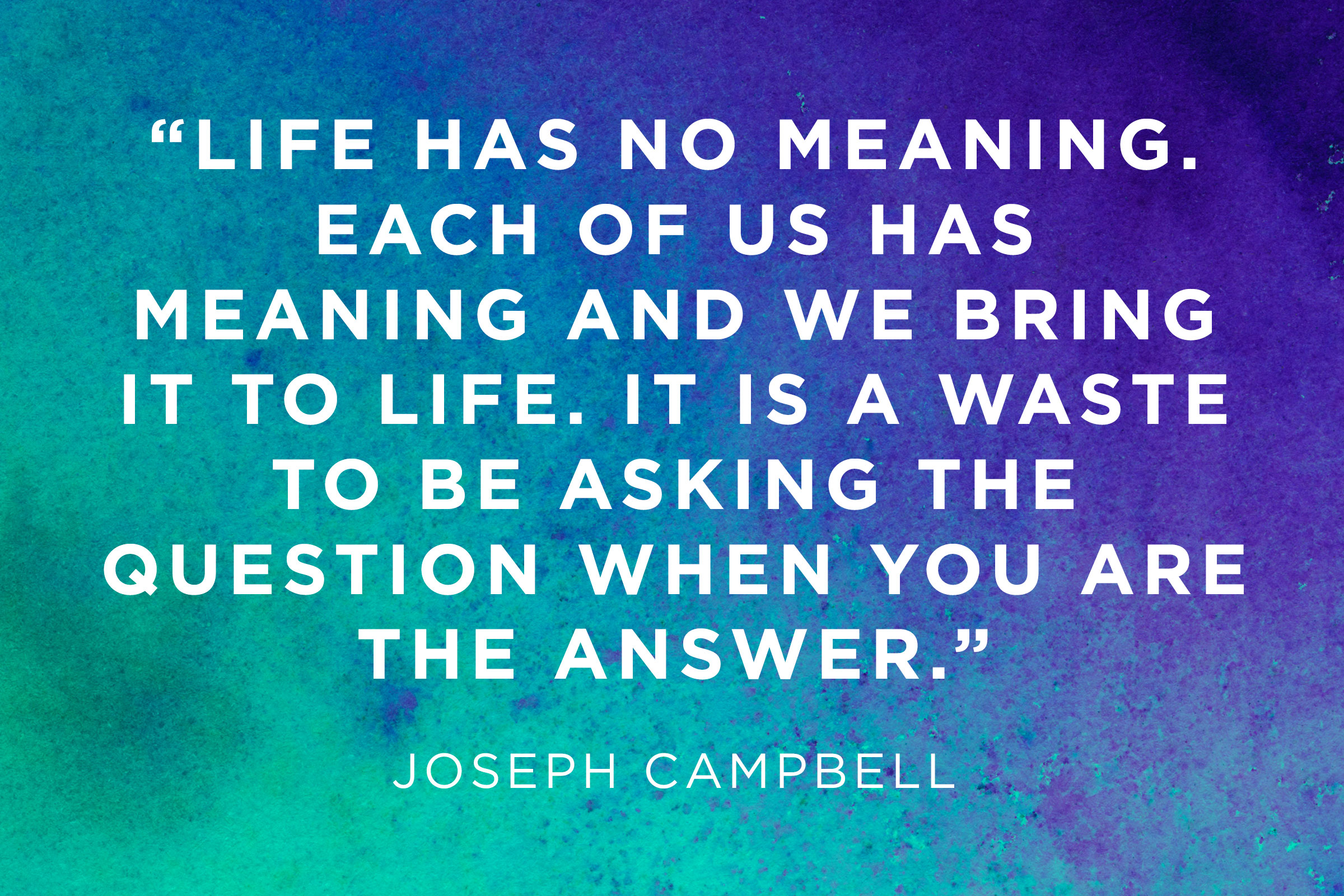 Finding The Meaning Of Life